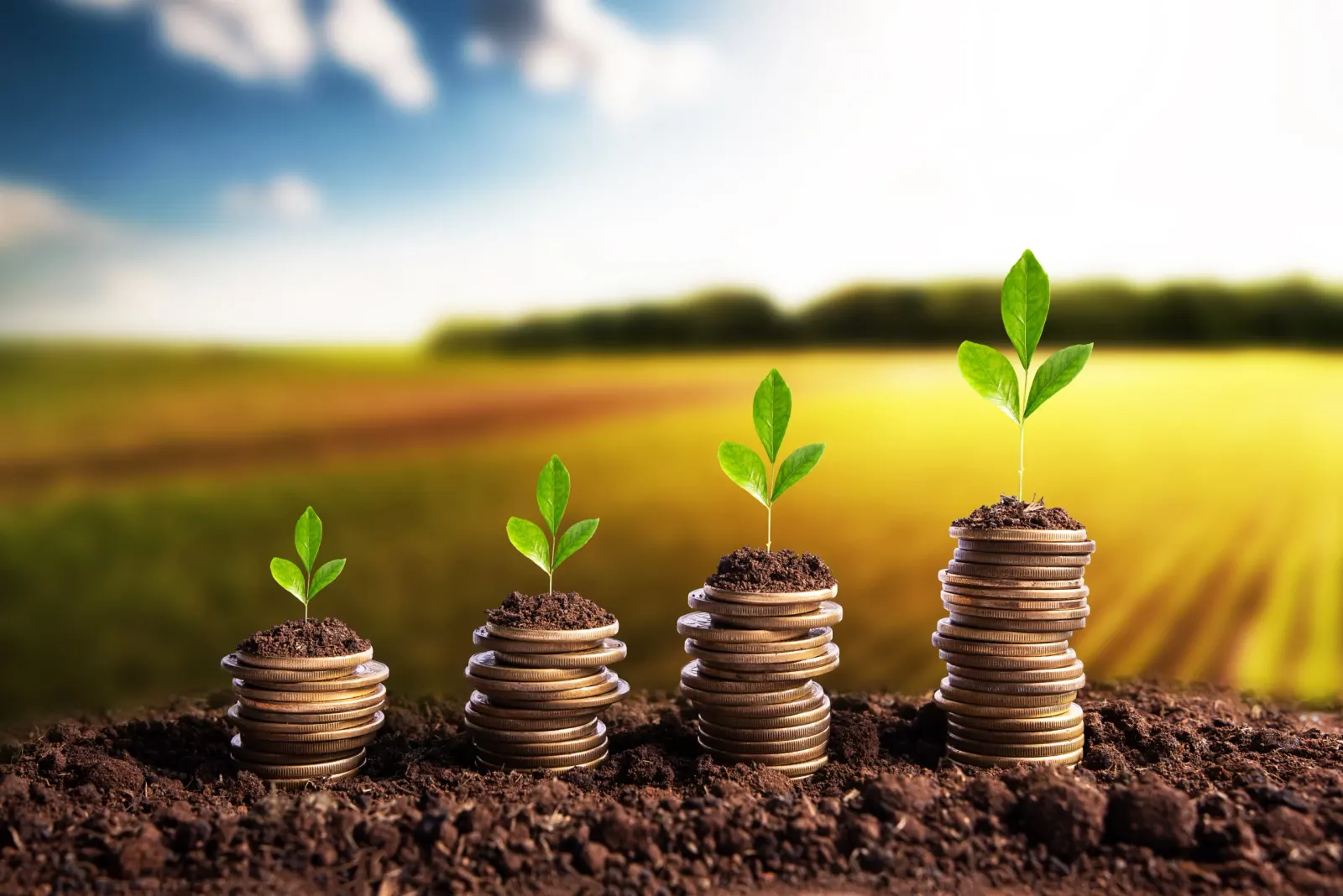 Business Finance UK