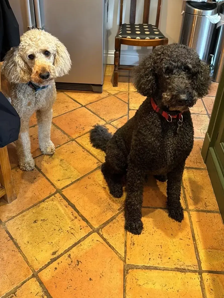 Dennis & Walter