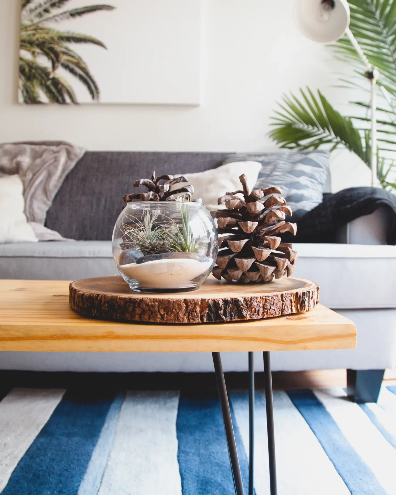 A living room with a wooden coffee table, grey sofa and houseplants